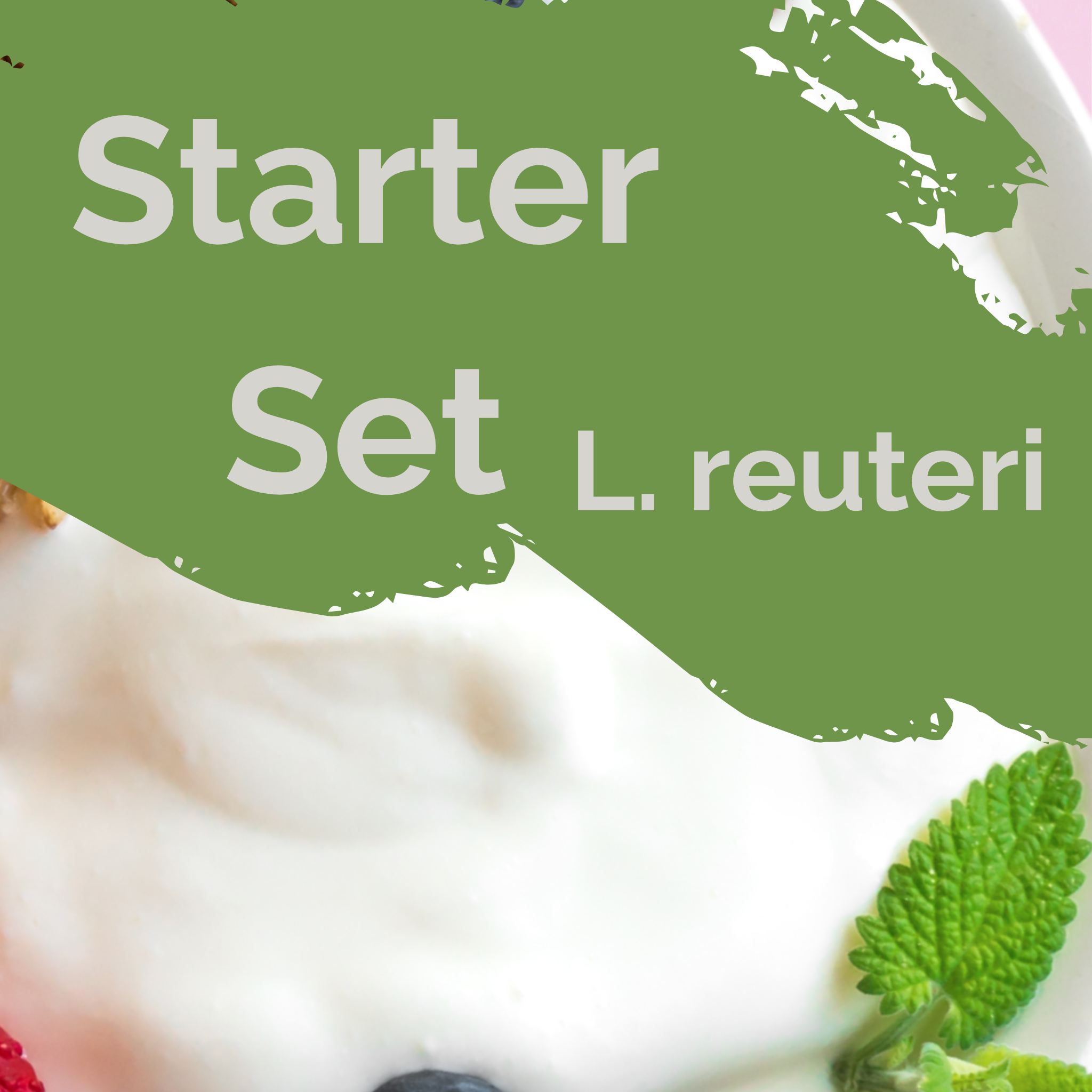 L. reuteri | Yogurt Starter Set | Starter Cultures | Pack of 3